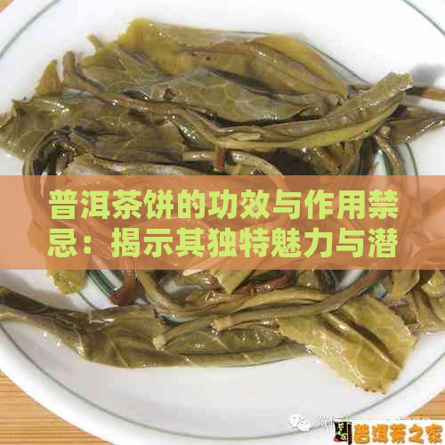 普洱茶饼的功效与作用禁忌：揭示其独特魅力与潜在风险