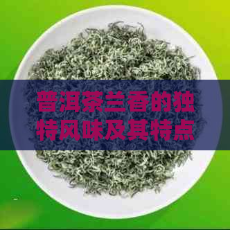 普洱茶兰香的独特风味及其特点解析：了解其魅力与品质