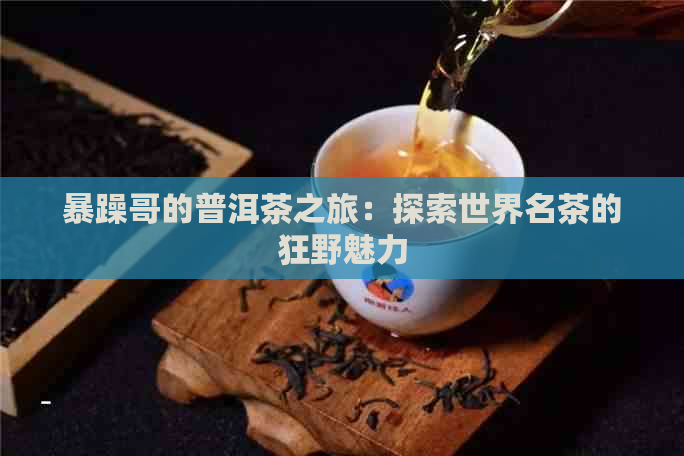 暴躁哥的普洱茶之旅：探索世界名茶的狂野魅力