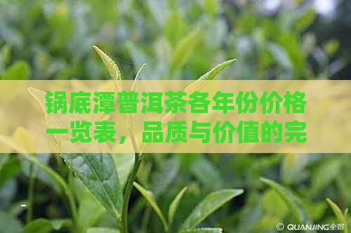 锅底潭普洱茶各年份价格一览表，品质与价值的完美诠释