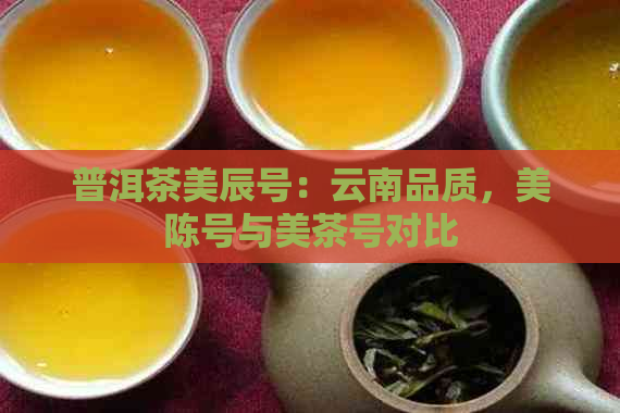 普洱茶美辰号：云南品质，美陈号与美茶号对比