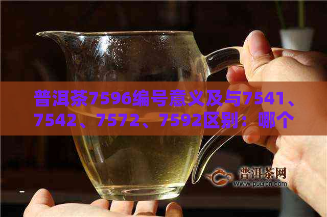 普洱茶7596编号意义及与7541、7542、7572、7592区别：哪个更好？