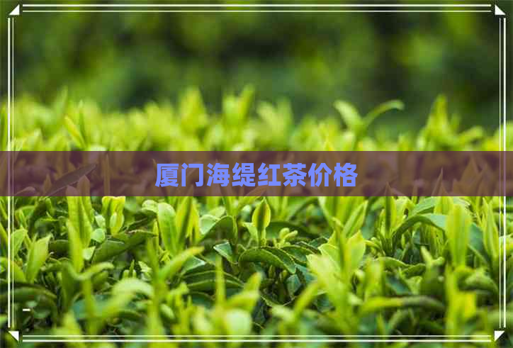 厦门海缇红茶价格