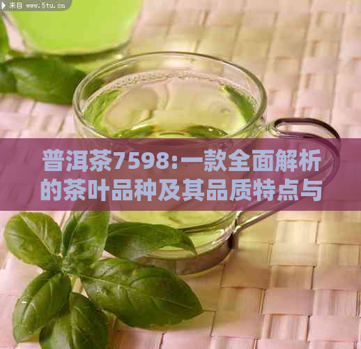 普洱茶7598:一款全面解析的茶叶品种及其品质特点与冲泡方法