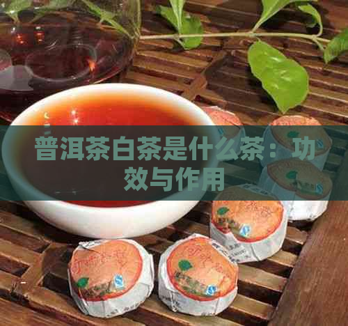 普洱茶白茶是什么茶：功效与作用