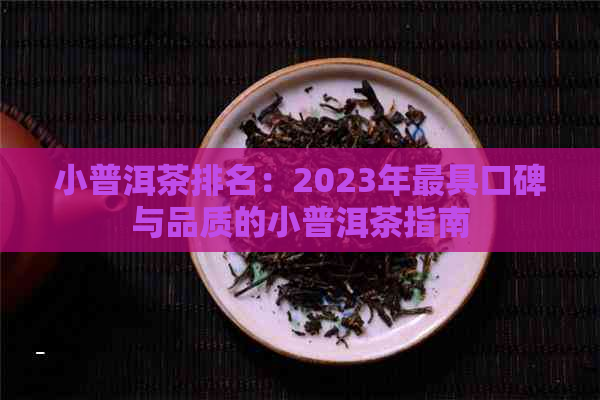 小普洱茶排名：2023年更具口碑与品质的小普洱茶指南