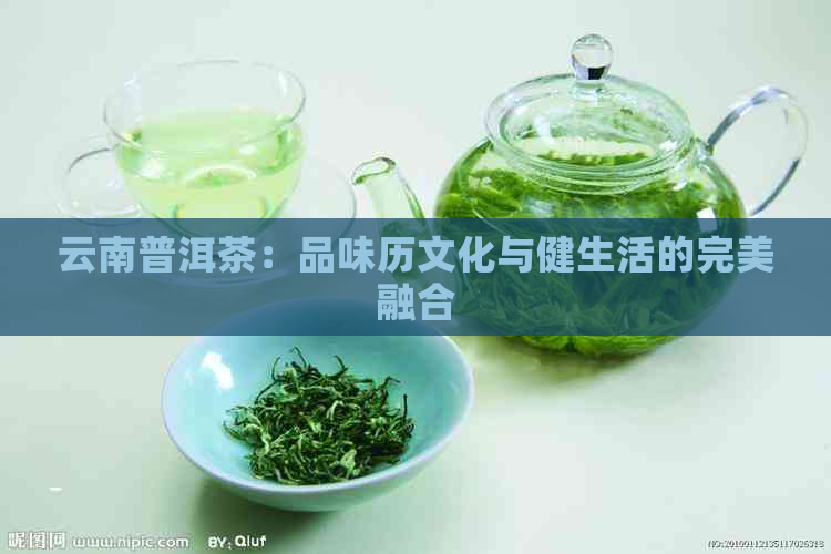 云南普洱茶：品味历文化与健生活的完美融合