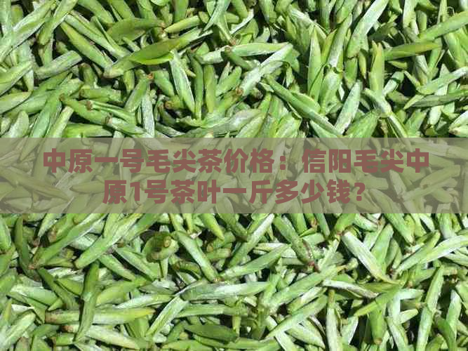 中原一号毛尖茶价格：信阳毛尖中原1号茶叶一斤多少钱？