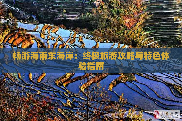 畅游海南东海岸：终极旅游攻略与特色体验指南