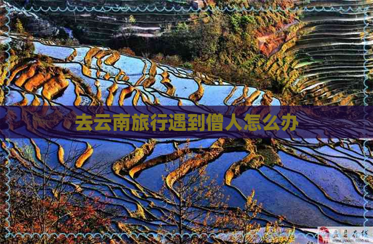 去云南旅行遇到僧人怎么办