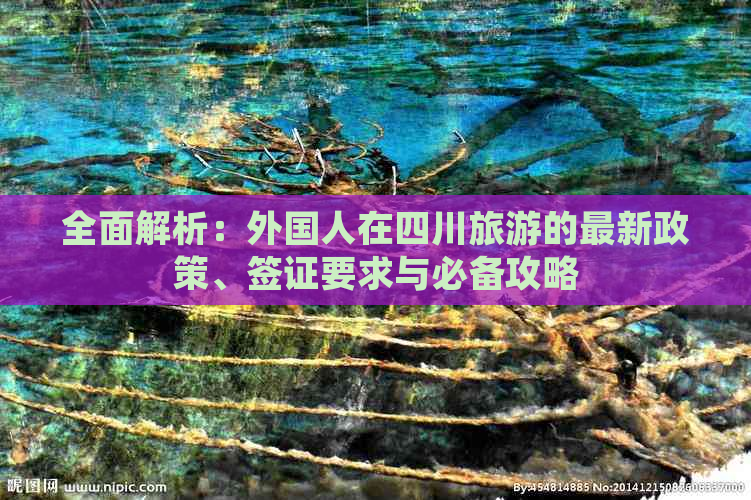 全面解析：外国人在四川旅游的最新政策、签证要求与必备攻略