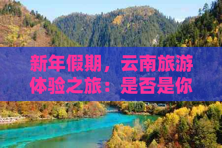 新年假期，云南旅游体验之旅：是否是你的完美之选？