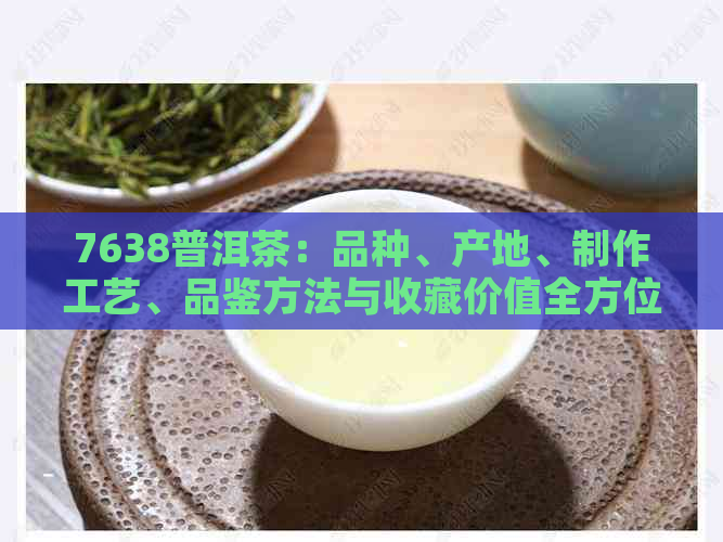 7638普洱茶：品种、产地、制作工艺、品鉴方法与收藏价值全方位解析