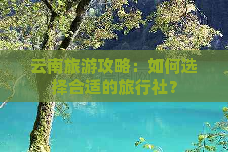 云南旅游攻略：如何选择合适的旅行社？