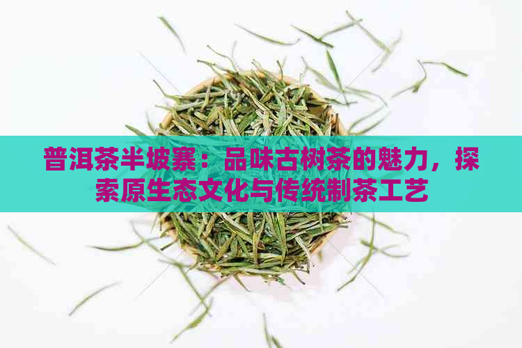 普洱茶半坡寨：品味古树茶的魅力，探索原生态文化与传统制茶工艺