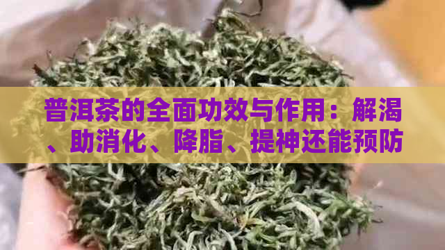 普洱茶的全面功效与作用：解渴、助消化、降脂、提神还能预防疾病！