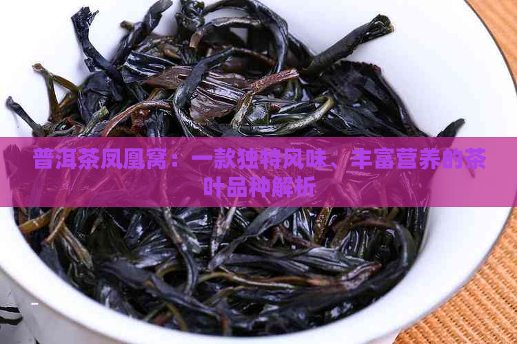 普洱茶凤凰窝：一款独特风味、丰富营养的茶叶品种解析