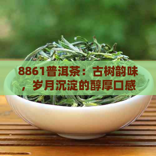 8861普洱茶：古树韵味，岁月沉淀的醇厚口感