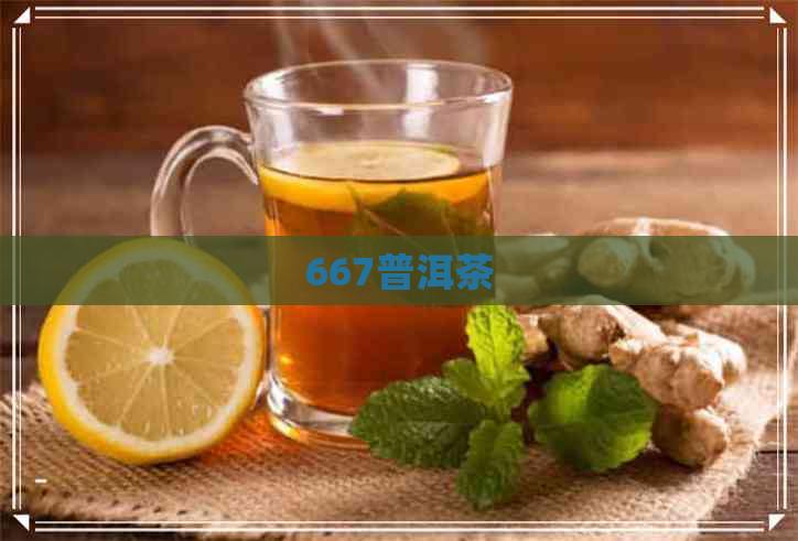 667普洱茶