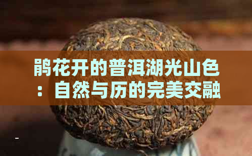 鹃花开的普洱湖光山色：自然与历的完美交融