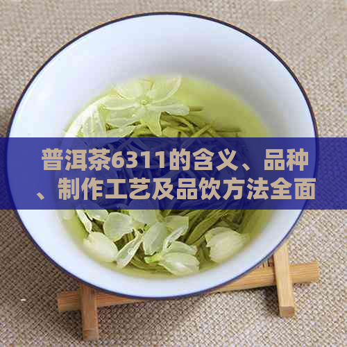 普洱茶6311的含义、品种、制作工艺及品饮方法全面解析