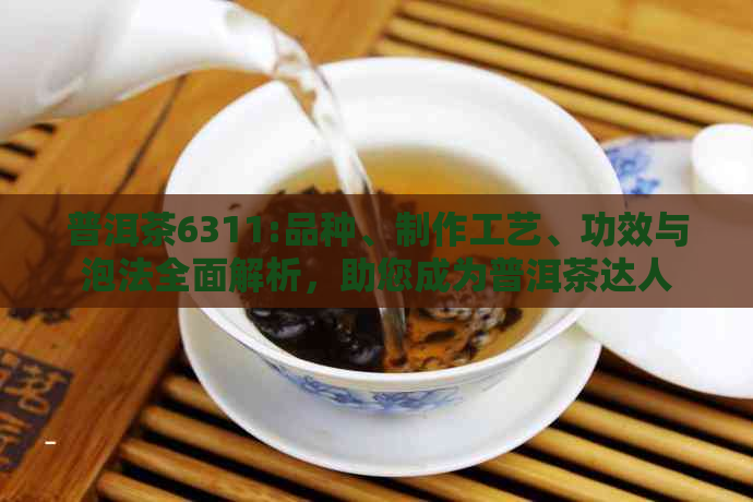 普洱茶6311:品种、制作工艺、功效与泡法全面解析，助您成为普洱茶达人