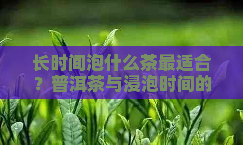 长时间泡什么茶最适合？普洱茶与浸泡时间的关系探讨