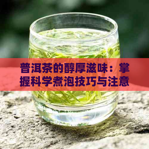 普洱茶的醇厚滋味：掌握科学煮泡技巧与注意事项