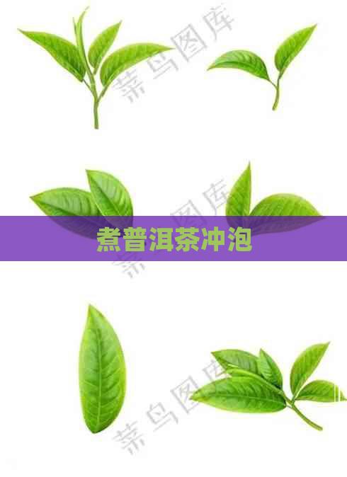 煮普洱茶冲泡