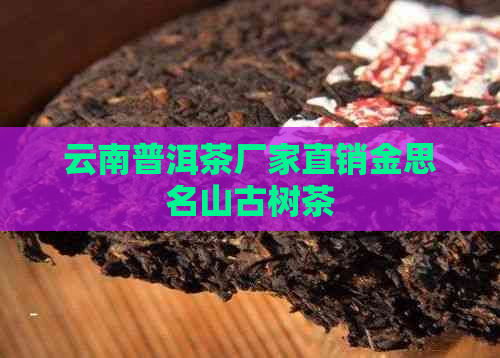 云南普洱茶厂家直销金思名山古树茶