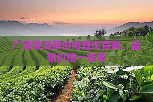 广德普洱茶价格查询官网，最新价格一览表