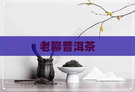 老聊普洱茶