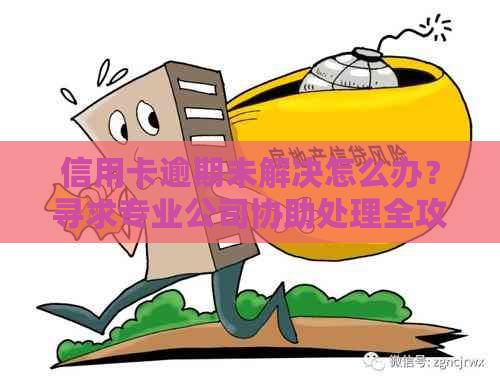 信用卡逾期未解决怎么办？寻求专业公司协助处理全攻略