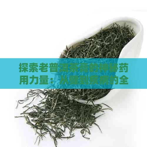 探索老普洱茶膏的神秘药用力量：从健到疾病的全方位疗效研究