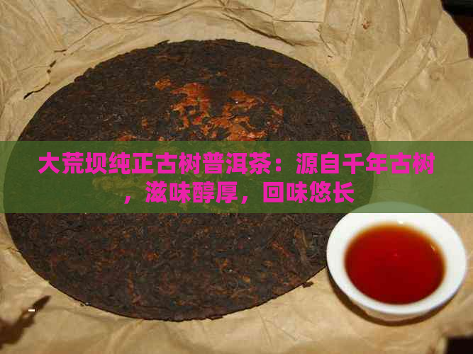 大荒坝纯正古树普洱茶：源自千年古树，滋味醇厚，回味悠长