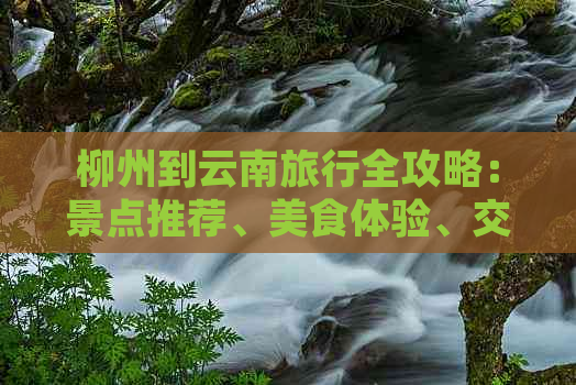 柳州到云南旅行全攻略：景点推荐、美食体验、交通指南和住宿建议