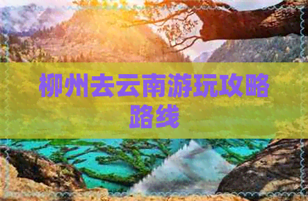 柳州去云南游玩攻略路线