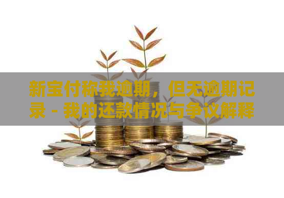 新宝付称我逾期，但无逾期记录 - 我的还款情况与争议解释