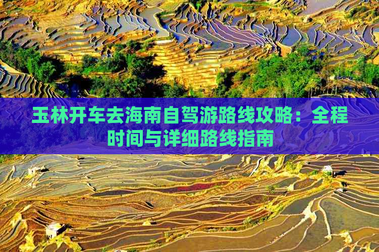 玉林开车去海南自驾游路线攻略：全程时间与详细路线指南