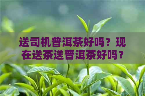 送司机普洱茶好吗？现在送茶送普洱茶好吗？