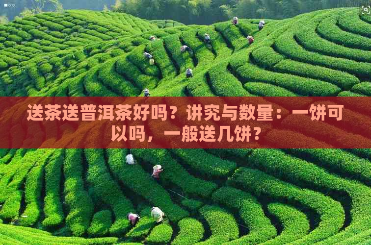 送茶送普洱茶好吗？讲究与数量：一饼可以吗，一般送几饼？