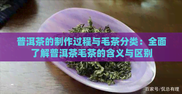 普洱茶的制作过程与毛茶分类：全面了解普洱茶毛茶的含义与区别