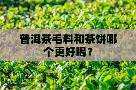 普洱茶毛料和茶饼哪个更好喝？