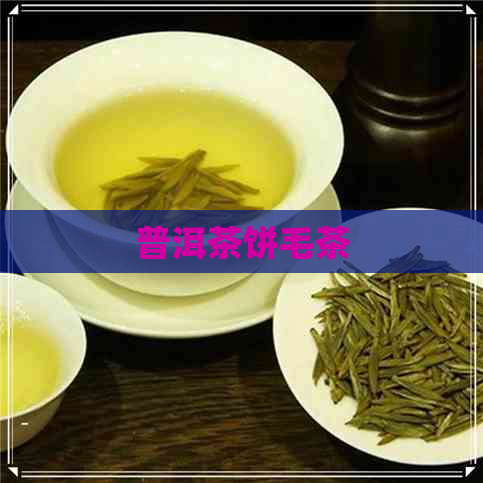 普洱茶饼毛茶