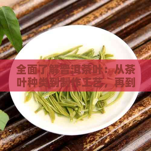 全面了解普洱茶叶：从茶叶种类到制作工艺，再到茶叶盒子的选择和购买指南