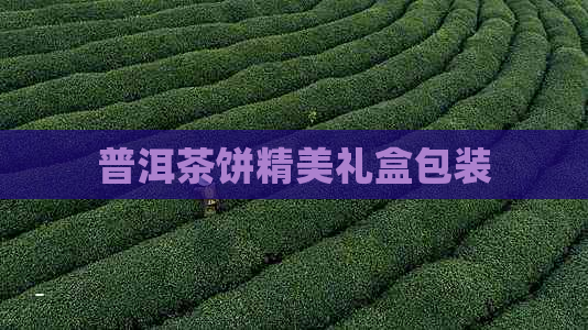 普洱茶饼精美礼盒包装