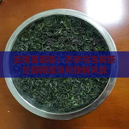 云南普洱茶：天字号古树茶的醇厚滋味与独特风味