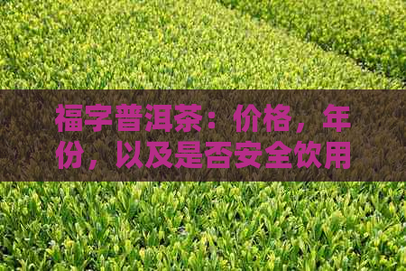 福字普洱茶：价格，年份，以及是否安全饮用