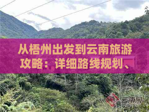 从梧州出发到云南旅游攻略：详细路线规划、交通方式、住宿推荐及景点建议