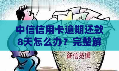 中信信用卡逾期还款8天怎么办？完整解决方案及补救措